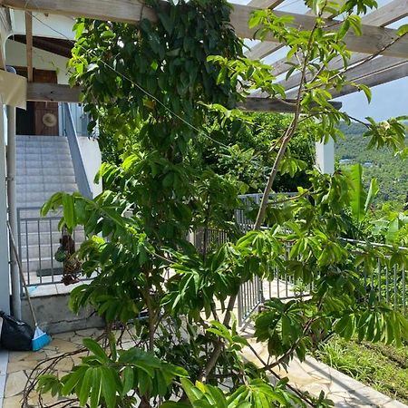 Bas De Villa Courbaril Bouillante Εξωτερικό φωτογραφία